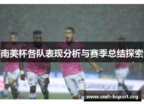 南美杯各队表现分析与赛季总结探索