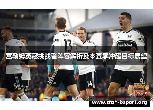 富勒姆英冠挑战者阵容解析及本赛季冲超目标展望 富勒姆英冠挑战者阵容解析及本赛季冲超目标展望