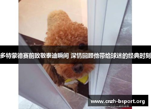 多特蒙德赛前致敬泰迪瞬间 深情回顾他带给球迷的经典时刻 多特蒙德赛前致敬泰迪瞬间 深情回顾他带给球迷的经典时刻